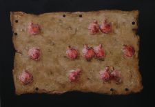Pomegranates